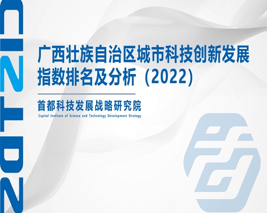 大黑鸡巴日女人电影【成果发布】广西壮族自治区城市科技创新发展指数排名及分析（2022）